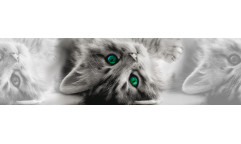 Samolepicí bordura Cat WB 8217